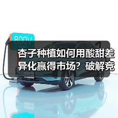 杏子种植如何用酸甜差异化赢得市场？破解竞争制胜密码