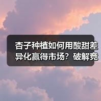 杏子种植如何用酸甜差异化赢得市场?破解竞争制胜密码(图3) 杏子种植如何用酸甜差异化赢得市场?破解竞争制胜密码(图3)