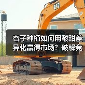 杏子种植如何用酸甜差异化赢得市场?破解竞争制胜密码(图4) 杏子种植如何用酸甜差异化赢得市场?破解竞争制胜密码(图4)