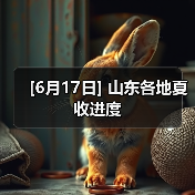 [6月17日] 山东各地夏收进度（图2）