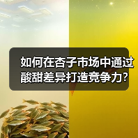 如何在杏子市场中通过酸甜差异打造竞争力?(图3) 如何在杏子市场中通过酸甜差异打造竞争力?(图3)