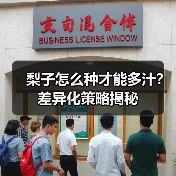 梨子怎么种才能多汁?差异化策略揭秘(图4) 梨子怎么种才能多汁?差异化策略揭秘(图4)