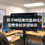 桃子种植果肉差异化突围竞争的关键秘诀(图3) 桃子种植果肉差异化突围竞争的关键秘诀(图3)