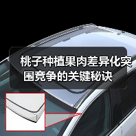 桃子种植果肉差异化突围竞争的关键秘诀(图4) 桃子种植果肉差异化突围竞争的关键秘诀(图4)
