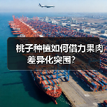 桃子种植如何借力果肉差异化突围?(图3) 桃子种植如何借力果肉差异化突围?(图3)