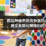 西瓜种植市场竞争激烈，糖度差异化策略如何破局？