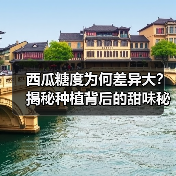西瓜糖度为何差异大？揭秘种植背后的甜味秘诀