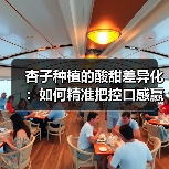 杏子种植的酸甜差异化:如何精准把控口感赢得市场(图4) 杏子种植的酸甜差异化:如何精准把控口感赢得市场(图4)