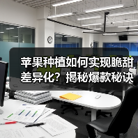 苹果种植如何实现脆甜差异化?揭秘爆款秘诀(图3) 苹果种植如何实现脆甜差异化?揭秘爆款秘诀(图3)