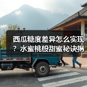 西瓜糖度差异怎么实现?水蜜桃般甜蜜秘诀揭秘(图2) 西瓜糖度差异怎么实现?水蜜桃般甜蜜秘诀揭秘(图2)
