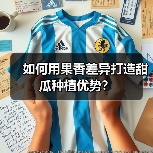 如何用果香差异打造甜瓜种植优势?(图4) 如何用果香差异打造甜瓜种植优势?(图4)