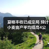 夏粮丰收已成定局 预计小麦亩产平均提高4公斤(图2) 夏粮丰收已成定局 预计小麦亩产平均提高4公斤(图2)