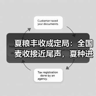 夏粮丰收成定局：全国麦收接近尾声，夏种进行中（图2）