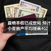 夏粮丰收已成定局 预计小麦亩产平均提高4公斤(图4) 夏粮丰收已成定局 预计小麦亩产平均提高4公斤(图4)