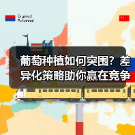 葡萄种植如何突围？差异化策略助你赢在竞争中（图2）