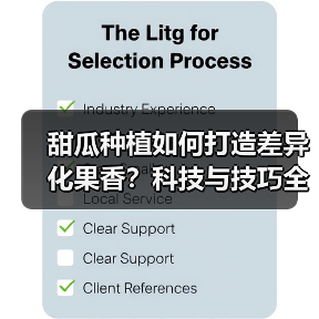 甜瓜种植如何打造差异化果香？科技与技巧全解析（图4）