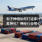 梨子种植如何打造多汁差异化?揭秘行业核心秘诀(图4) 梨子种植如何打造多汁差异化?揭秘行业核心秘诀(图4)
