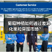 葡萄种植如何通过差异化果粒突围市场?(图2) 葡萄种植如何通过差异化果粒突围市场?(图2)