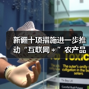 新疆十项措施进一步推动“互联网+”农产品出村进城工程(图2) 新疆十项措施进一步推动“互联网+”农产品出村进城工程(图2)