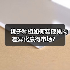 桃子种植如何实现果肉差异化赢得市场?(图2) 桃子种植如何实现果肉差异化赢得市场?(图2)