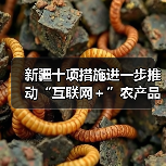 新疆十项措施进一步推动“互联网+”农产品出村进城工程(图1) 新疆十项措施进一步推动“互联网+”农产品出村进城工程(图1)