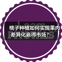 桃子种植如何实现果肉差异化赢得市场?(图4) 桃子种植如何实现果肉差异化赢得市场?(图4)
