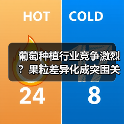 葡萄种植行业竞争激烈?果粒差异化成突围关键(图4) 葡萄种植行业竞争激烈?果粒差异化成突围关键(图4)