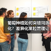 葡萄种植如何突破同质化?差异化果粒管理让你赢在起跑线(图4) 葡萄种植如何突破同质化?差异化果粒管理让你赢在起跑线(图4)