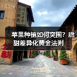 苹果种植如何突围？脆甜差异化黄金法则