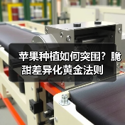 苹果种植如何突围?脆甜差异化黄金法则(图4) 苹果种植如何突围?脆甜差异化黄金法则(图4)