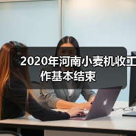 2020年河南小麦机收工作基本结束(图2) 2020年河南小麦机收工作基本结束(图2)