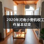2020年河南小麦机收工作基本结束(图3) 2020年河南小麦机收工作基本结束(图3)