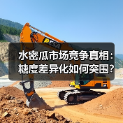 水密瓜市场竞争真相:糖度差异化如何突围?(图3) 水密瓜市场竞争真相:糖度差异化如何突围?(图3)