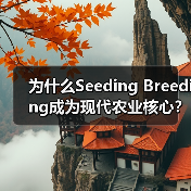 为什么Seeding Breeding成为现代农业核心?揭秘技术差异化的关键(图3) 为什么Seeding Breeding成为现代农业核心?揭秘技术差异化的关键(图3)