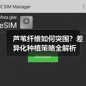 芦苇纤维如何突围？差异化种植策略全解析