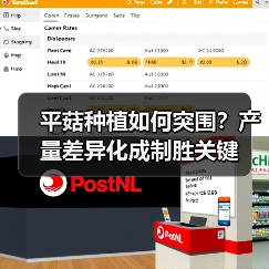 平菇种植如何突围?产量差异化成制胜关键(图3) 平菇种植如何突围?产量差异化成制胜关键(图3)