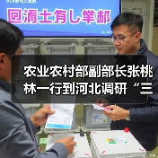 农业农村部副部长张桃林一行到河北调研“三夏”农机化生产以及草地贪夜蛾布防工作（图1）