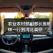 农业农村部副部长张桃林一行到河北调研“三夏”农机化生产以及草地贪夜蛾布防工作（图4）