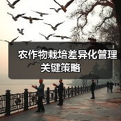 农作物栽培差异化管理关键策略(图4) 农作物栽培差异化管理关键策略(图4)