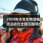 2020年水生生物增殖放流活动在全国范围同步举行（图2）