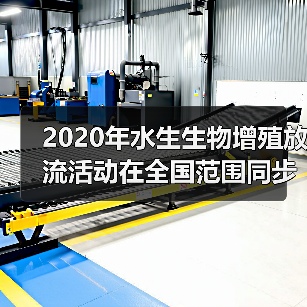 2020年水生生物增殖放流活动在全国范围同步举行（图4）
