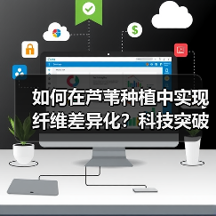 如何在芦苇种植中实现纤维差异化？科技突破破局！
