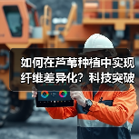 如何在芦苇种植中实现纤维差异化?科技突破破局!(图3) 如何在芦苇种植中实现纤维差异化?科技突破破局!(图3)