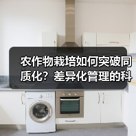 农作物栽培如何突破同质化?差异化管理的科学密码(图3) 农作物栽培如何突破同质化?差异化管理的科学密码(图3)
