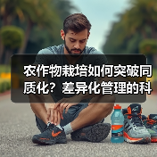农作物栽培如何突破同质化?差异化管理的科学密码(图4) 农作物栽培如何突破同质化?差异化管理的科学密码(图4)