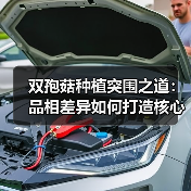 双孢菇种植突围之道:品相差异如何打造核心竞争力(图4) 双孢菇种植突围之道:品相差异如何打造核心竞争力(图4)