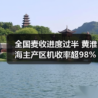 全国麦收进度过半 黄淮海主产区机收率超98%(图2) 全国麦收进度过半 黄淮海主产区机收率超98%(图2)