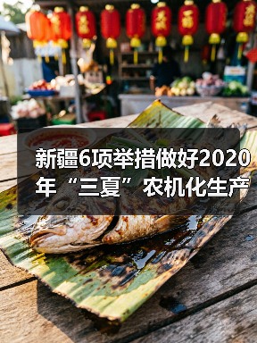 新疆6项举措做好2020年“三夏”农机化生产工作（图1）