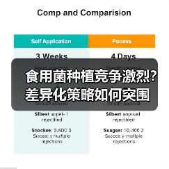 食用菌种植竞争激烈？差异化策略如何突围