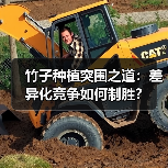 竹子种植突围之道：差异化竞争如何制胜？